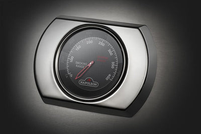 Napoleon Built-in 700 Series 32" SS Infrared Rear Burner